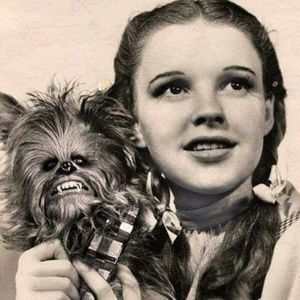 Meet your Posher, Libby